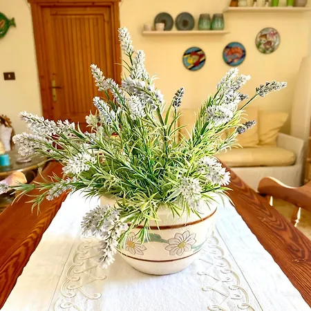 Nura's - Casa Gea Stintino